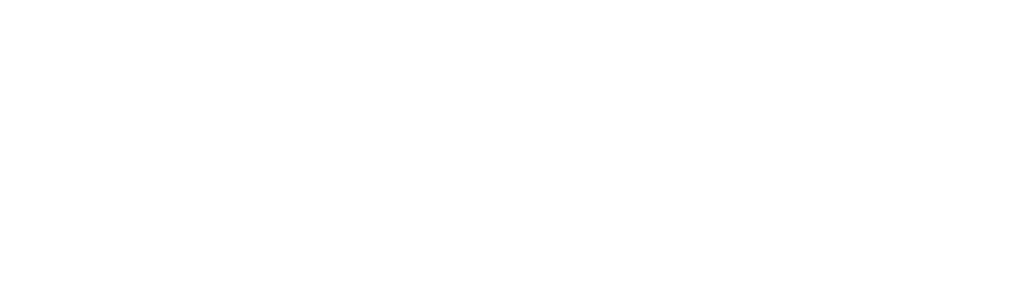 Wordmark — white transparent